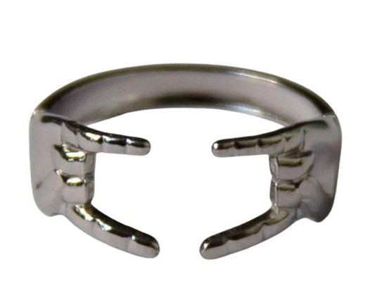 The Rosetta Ring