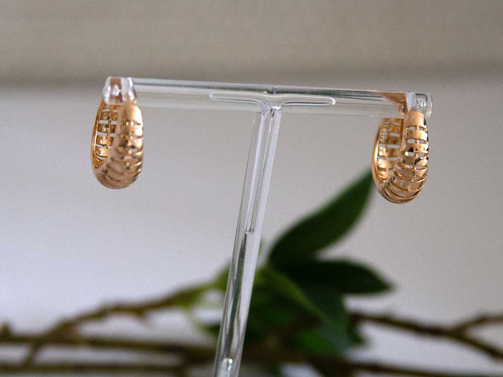 Petites boucles d'oreilles dorées sur un présentoir avec des feuilles vertes en arrière plan